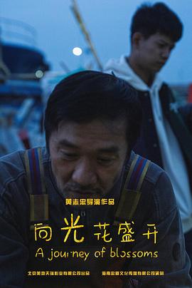 向光花盛开