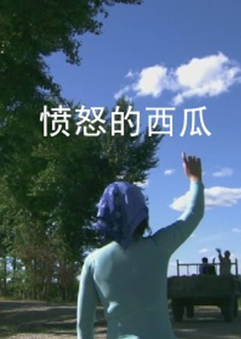 愤怒的西瓜2011封面图