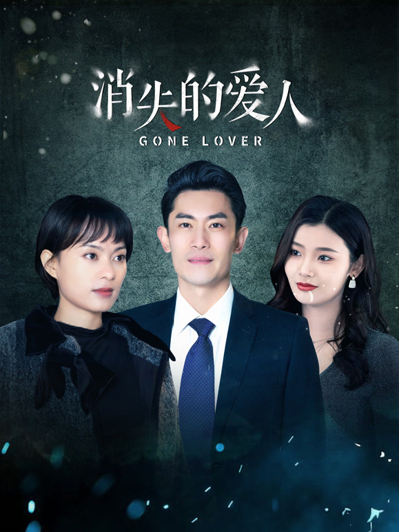 消失的爱人2014封面图