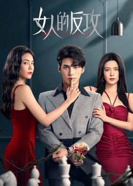 女人的反攻封面图