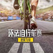 环法自行车赛：逆风飞驰第三季封面图