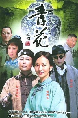 重案实录之惊天械劫案