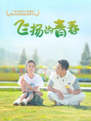 飞扬的青春2012封面图