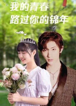 我的青春路过你的锦年封面图
