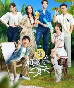 相遇的夏天封面图