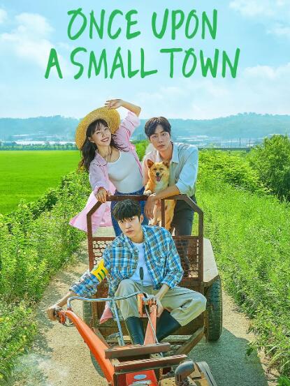 偶然的田园日记封面图