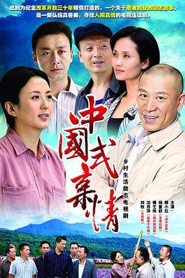 市委书记日记