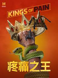 疼痛之王第二季