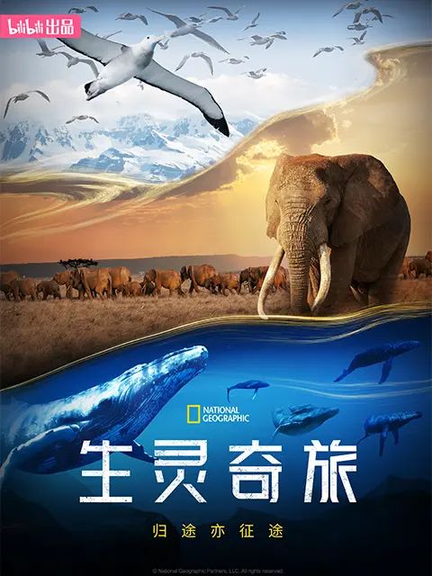 不可思议的动物之旅第一季