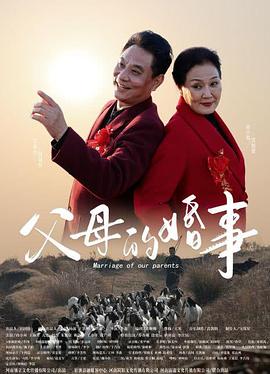 父母的婚事封面图