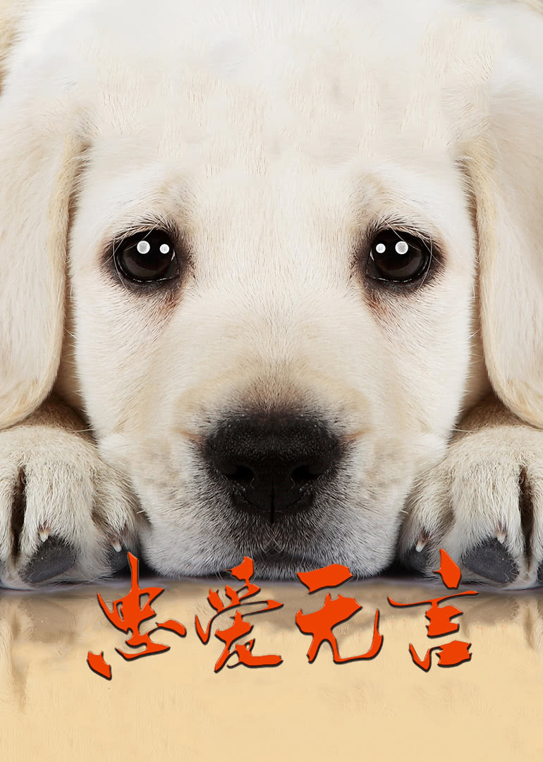 忠爱无言封面图