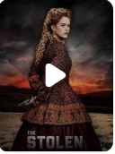 天涯寻子路封面图