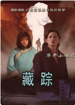 华严小镇2之藏踪
