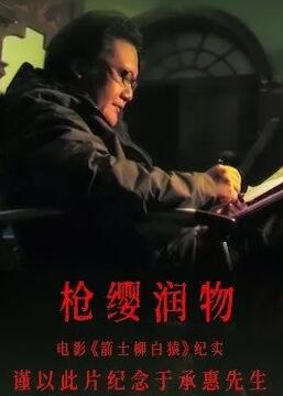 枪缨润物&mdash;&mdash;电影《箭士柳白猿》纪实