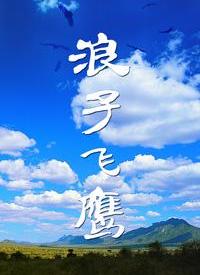 浪子飞鹰封面图