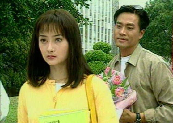 台湾百合封面图