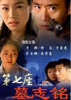 第七座墓志铭封面图