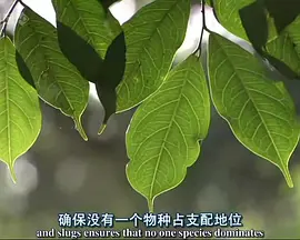 出轨的女人