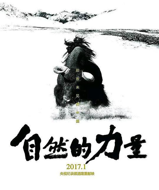 自然的力量封面图