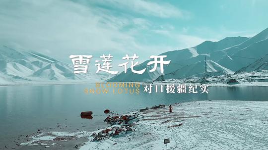 雪莲花开&mdash;&mdash;对口援疆纪实