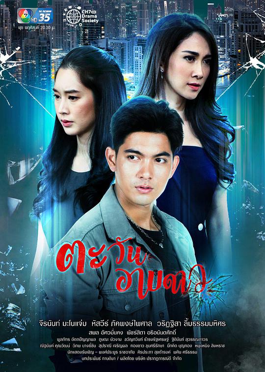 及时止损封面图