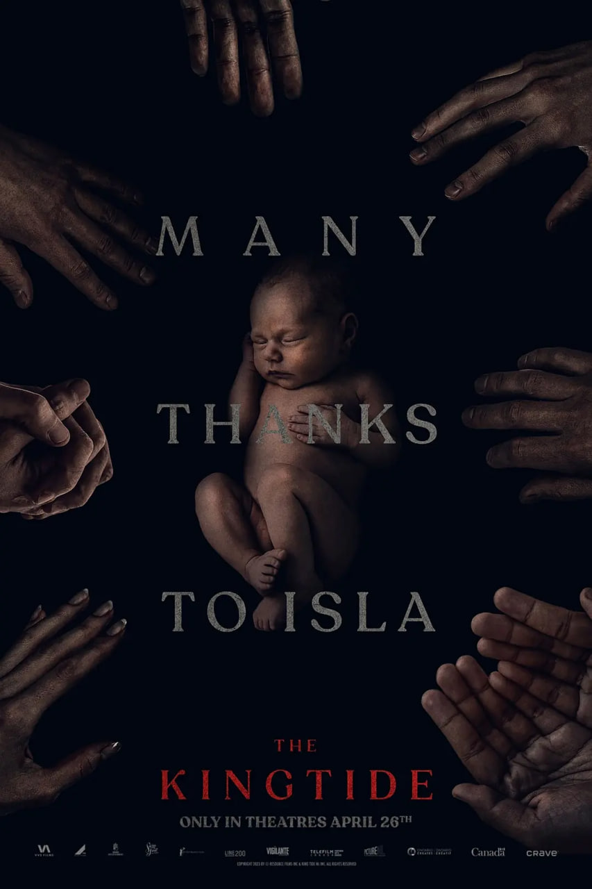 国王潮汐封面图