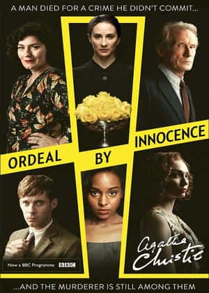 无妄之灾封面图