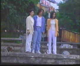 猛龙特警之天罗地网普通话封面图