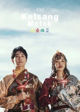 格桑梅朵2011封面图