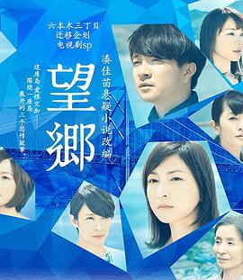 望乡1974封面图