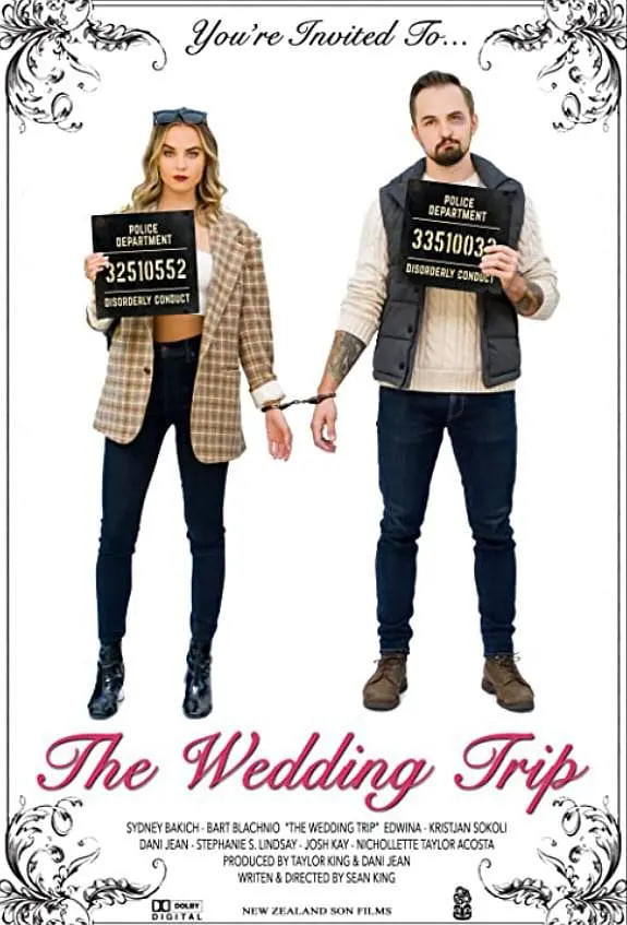 去往婚礼的途中封面图