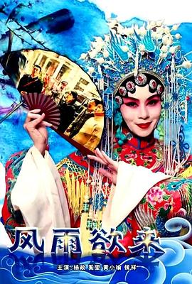 风雨欲来封面图