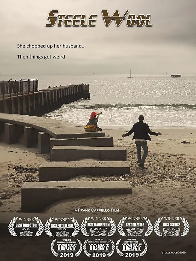 斯蒂尔羊毛2019封面图