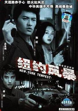 纽约风暴封面图