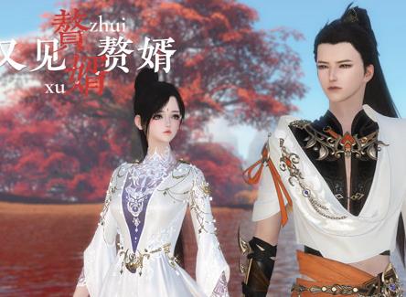 赘婿又见赘婿